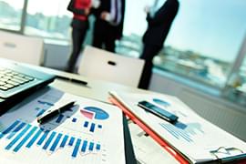 Executive Business Plan